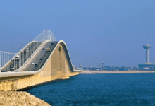 65.9 مليون راكب عبر المنافذ البرية في 2024