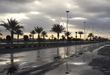 أمطار خفيفة على تبوك - الوئام