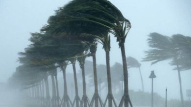 أمطار رعدية مصحوبة برياح نشطة على 7 مناطق