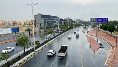 أمطار متوسطة على العاصمة المقدسة والباحة