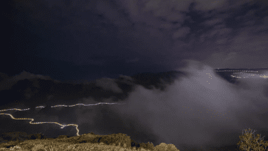 الضباب والخضرة في الباحة.. تجربة سياحية فريدة خلال الخريف