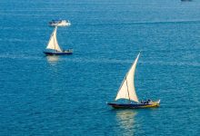 انطلاق النسخة الثانية من سباق البحر الأحمر للمراكب الشراعية