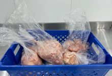 بلدية الخرج تضبط استراحة مخالِفة لإنتاج وبيع الدواجن في بيئة غير صحية