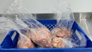 بلدية الخرج تضبط استراحة مخالِفة لإنتاج وبيع الدواجن في بيئة غير صحية