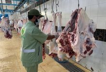 بيئة الجوف تنفذ 996 جولة رقابية على أسواق النفع العام والمسالخ وتضبط 14 مخالفة