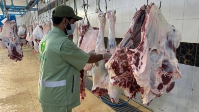 بيئة الجوف تنفذ 996 جولة رقابية على أسواق النفع العام والمسالخ وتضبط 14 مخالفة