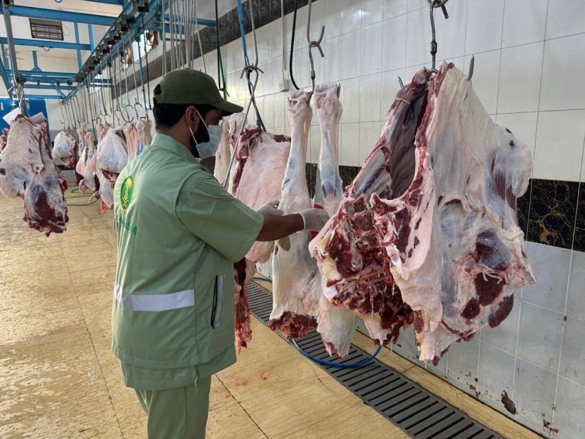 بيئة الجوف تنفذ 996 جولة رقابية على أسواق النفع العام والمسالخ وتضبط 14 مخالفة