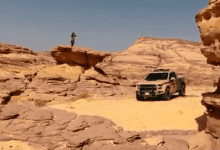 قوات الأمن البيئي