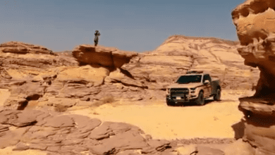 قوات الأمن البيئي