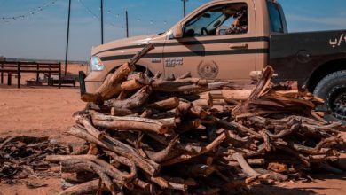 ضبط مخالف لنظام البيئة لنقله حطبًا محليًا في عسير