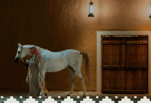 في قلب البجيري التاريخي.. انطلاق النسخة الثانية من "مهرجان الدرعية للرواية"