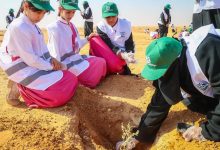 محمية الملك سلمان تزرع 2000 شتلة في مبادرة "يد تغرس وأرض تزدهر"