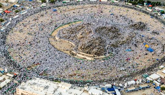 نائب وزير الحج: قفزة في رضا الحجاج ونجاح سعودي متكامل في إدارة الموسم