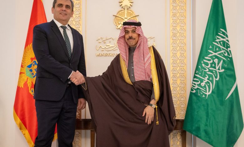 وزير الخارجية ووزير خارجية الجبل الأسود يستعرضان العلاقات الثنائية بين البلدين