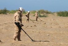 "مسام" يعلن نزع أكثر من نصف مليون لغم وتطهير 73 مليون متر مربع في اليمن