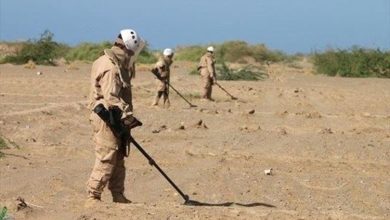 "مسام" يعلن نزع أكثر من نصف مليون لغم وتطهير 73 مليون متر مربع في اليمن