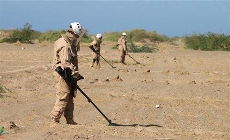 "مسام" يعلن نزع أكثر من نصف مليون لغم وتطهير 73 مليون متر مربع في اليمن