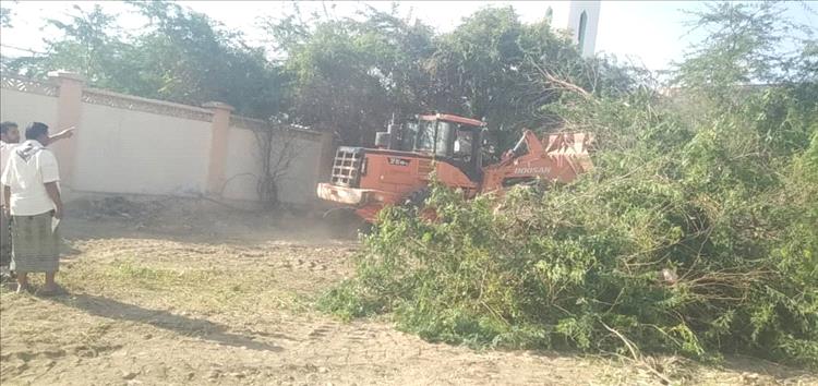 إدارتا ثانوية جواس وأبي سلمة تشكران السلطة المحلية بمودية على إزالة أشجار السيسبان من ساحات المدرستين