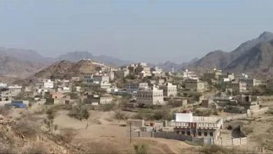 السلطة المحلية بمقبنة تدين جريمة الحوثيين في قرية حاضية وتطالب بحماية المدنيين ومحاسبة الجناة