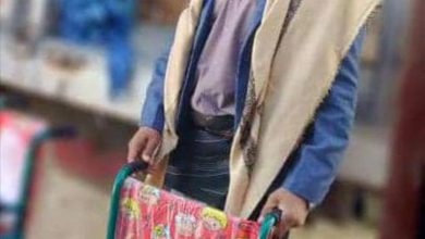 برعاية المحافظ بن الوزير.. وصول الدفعة الأولى من مشروع الكراسي المتحركة لذوي الاحتياجات الخاصة بشبوة