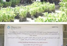 تدشين توزيع شتلات البن لعدد 600 مستفيد _ بني حماد _ مديرية المواسط