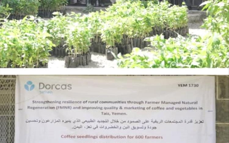 تدشين توزيع شتلات البن لعدد 600 مستفيد _ بني حماد _ مديرية المواسط