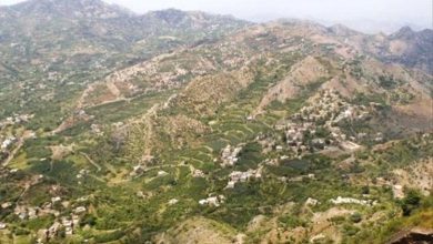 تعز.. مسلحون يهاجمون منزل شيخ قبلي في شرعب السلام بقنابل يدوية