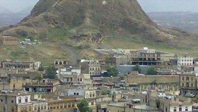 ضبط 162 جريمة وحادثة غير جنائية بمحافظة الضالع