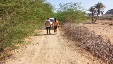 فريق هندسي يقوم بزيارة بروم ميفع لتعرف على الاحتياج المطلوب لتحسين القطاع الزراعي