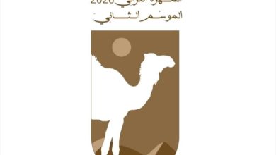 محافظة المهرة تستعد لإطلاق مهرجان مزاينة الإبل 2026: حماية التراث وصمود الهوية