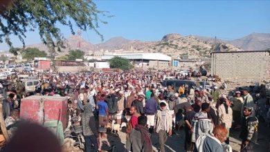 نجاح عملية تحويل سوق الأغنام بمديرية مودية إلى موقعه الجديد في السيلة