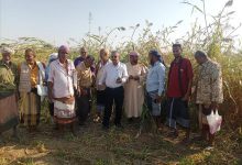 وكيل وزارة الزراعة وفريق بحثي من الهيئة العامة للبحوث الزراعية محطة الكود أبين ينفذون نزولًا إلى مزارع دلتا تبن بلحج