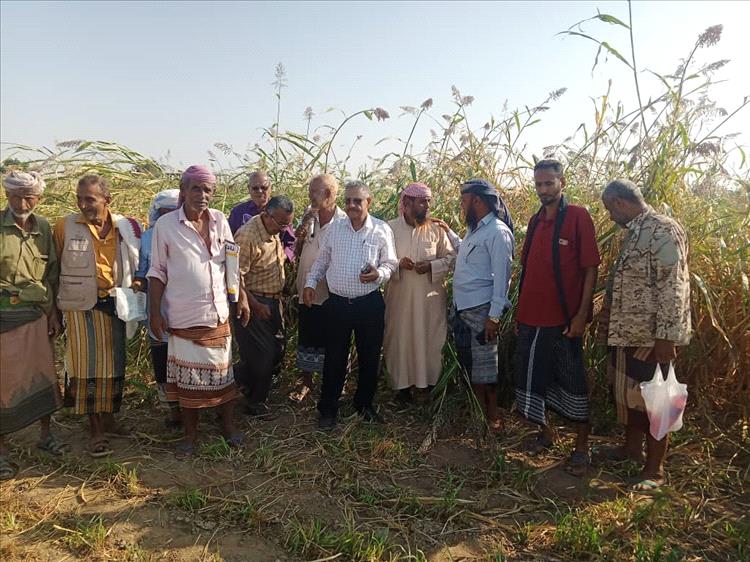 وكيل وزارة الزراعة وفريق بحثي من الهيئة العامة للبحوث الزراعية محطة الكود أبين ينفذون نزولًا إلى مزارع دلتا تبن بلحج