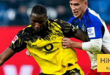 إحصائيات مباراة بوروسيا دورتموند وهامبورغ