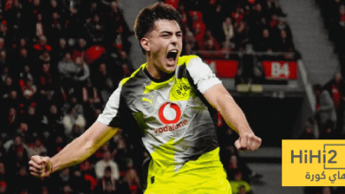 الشوط الأول – إحصائيات بوروسيا دورتمون وباير ليفركوزن