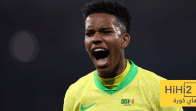 إستيفاو يتألق مع البرازيل