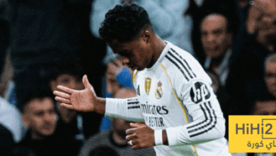 تطورات انتقال إندريك إلى ليون