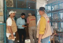 إغلاق مسالخ وبسطات مخالِفة في المنصورة ضمن حملة رقابية موسعة