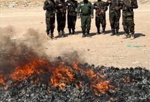 الادارة العامة لمكافحة المخدرات بقوات الحزام الأمني تُتلف كمية كبيرة من الحبوب المخدرة