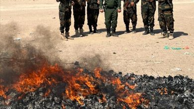 الادارة العامة لمكافحة المخدرات بقوات  الحزام الأمني تُتلف كمية كبيرة من الحبوب المخدرة