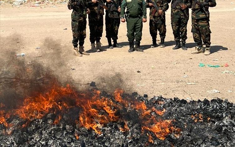الادارة العامة لمكافحة المخدرات بقوات  الحزام الأمني تُتلف كمية كبيرة من الحبوب المخدرة