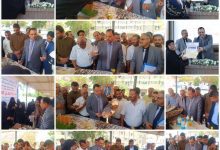 الوزير السقطري يكرم عددا من المبرزات بمناسبة اليوم العالمي للمرأة الريفية