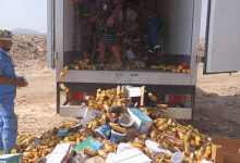 صحة البيئة بالمنصورة تتلف 4 أطنان من المواد غير الصالحة للاستهلاك.