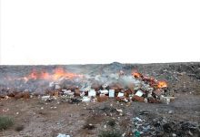 صحة البيئة بالمنصورة تتلف 5 أطنان من مواد غذائية منتهية الصلاحية