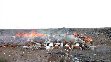 صحة البيئة بالمنصورة تتلف 5 أطنان من مواد غذائية منتهية الصلاحية