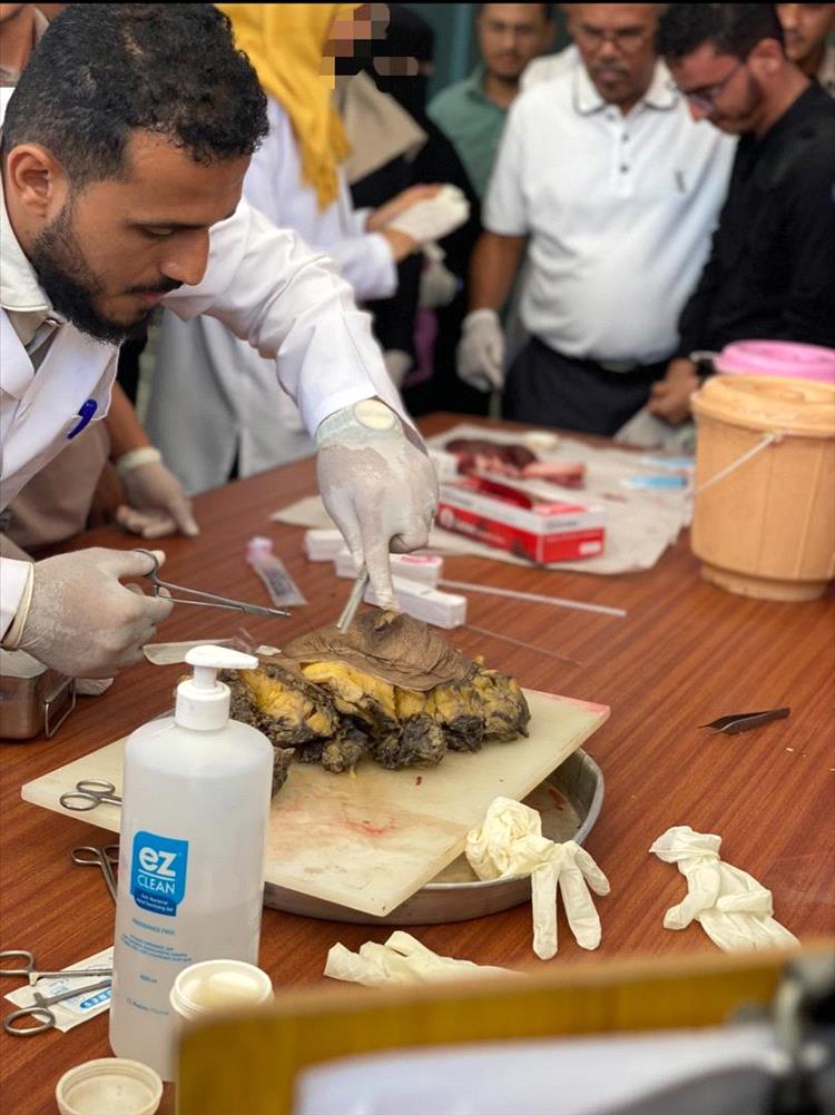 كلية الطب بجامعة عدن تحتفي باليوم العالمي للأمراض بفعالية توعوية مميزة