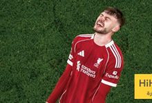 كل ما قدمه برادلي أمام الريال