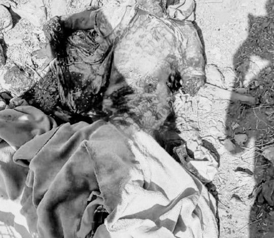 استشهاد إمرأة بقذيفة حوثية من طيران مسير جنوب الحديدة