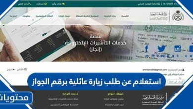 استعلام عن طلب زيارة عائلية برقم الجواز