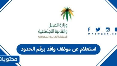 استعلام عن موظف وافد برقم الحدود